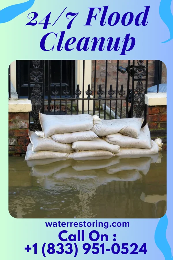 24/7 Flood Cleanup in Walker Lake, NV