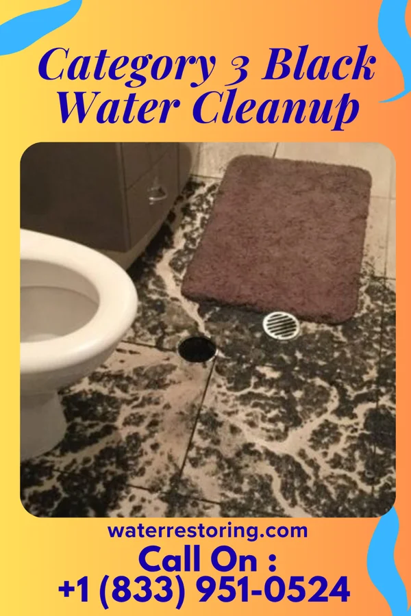 Category 3 Black Water Cleanup in Walker Lake, NV